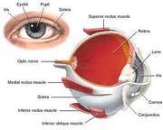 Qu'est-ce qu'une cataracte ?
